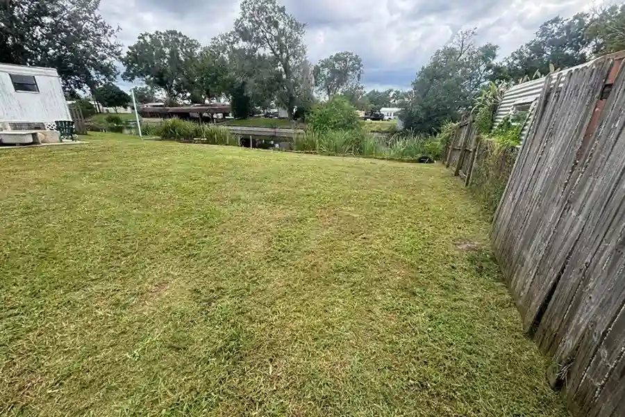 Professional Landscaping Services