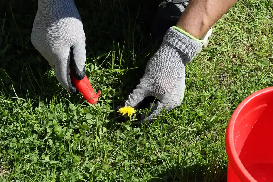 Experienced Weed Control Okeechobee, FL