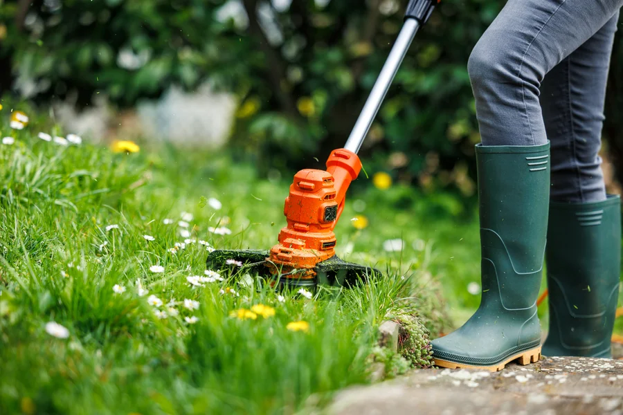 Expert Lawn Care Service Okeechobee, FL