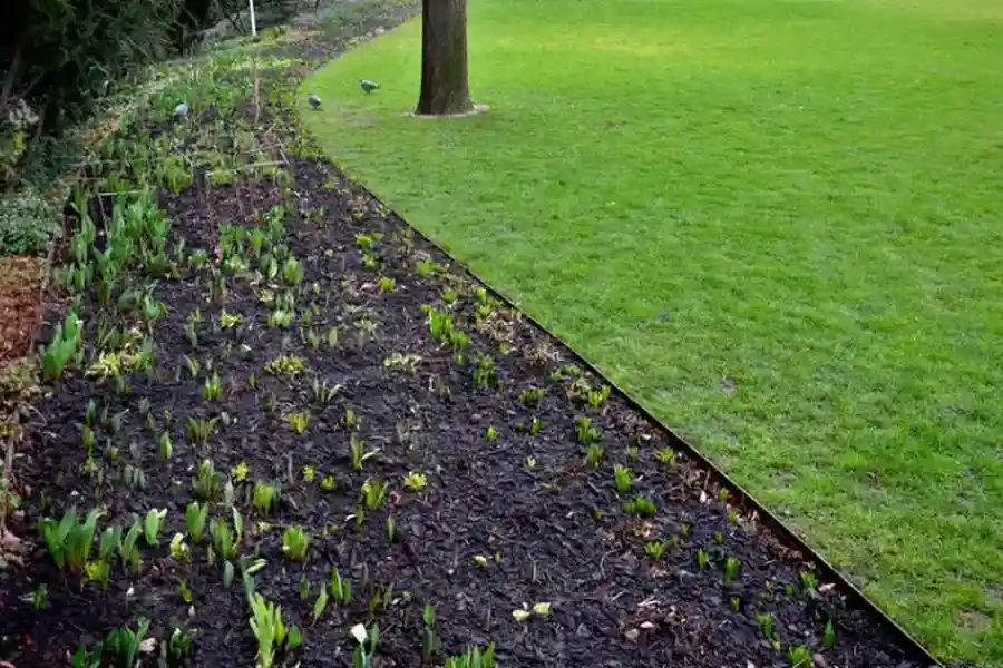 Local Lawn Edging Okeechobee, FL