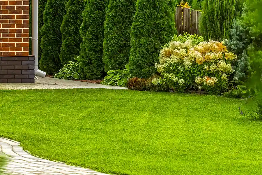 Superior Lawn Care Service Okeechobee, FL