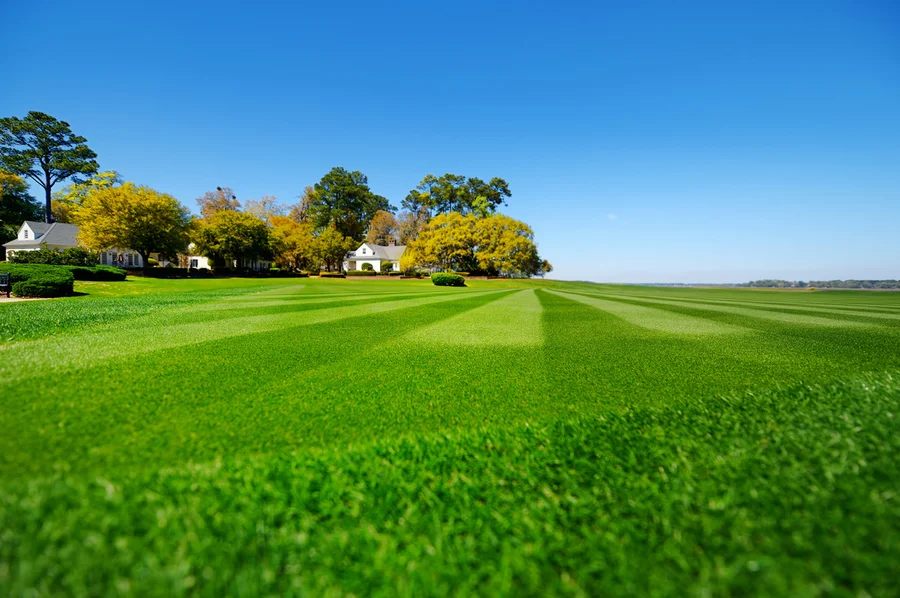The Importance Of Aeration And Fertilization In Lawn Care in Okeechobee, FL