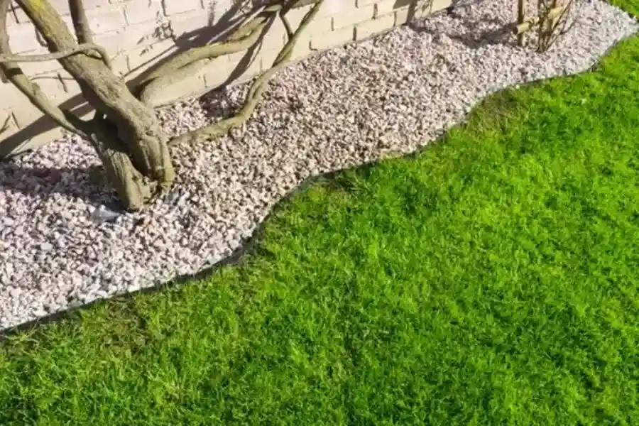 The Importance Of Proper Lawn Edging For Yard Maintenance in Okeechobee, FL The Importance Of Proper Lawn Edging For Yard Maintenance in Okeechobee, FL